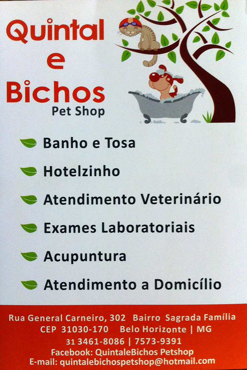 pet store