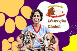 anuncio-destaque000000001